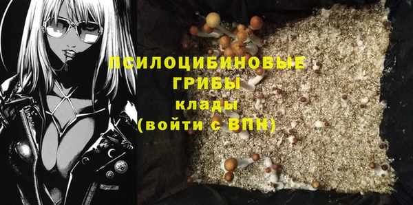 гидра Бутурлиновка