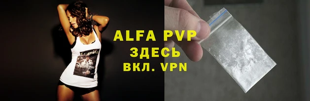 амф Новодвинск