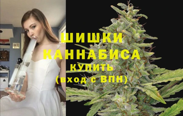 амф Новодвинск