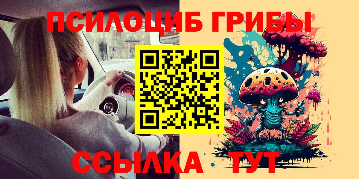 Кумертау  Псилоцибиновые грибы Psilocybine cubensis  Вход с VPN  Галлюциногенные грибы Psilocybine cubensis 