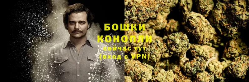 где найти наркотики  Кумертау  МАРИХУАНА SATIVA & INDICA 